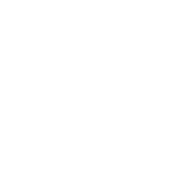 Funny T-Shirts design "Texas Est. 1845 T-Shirt"