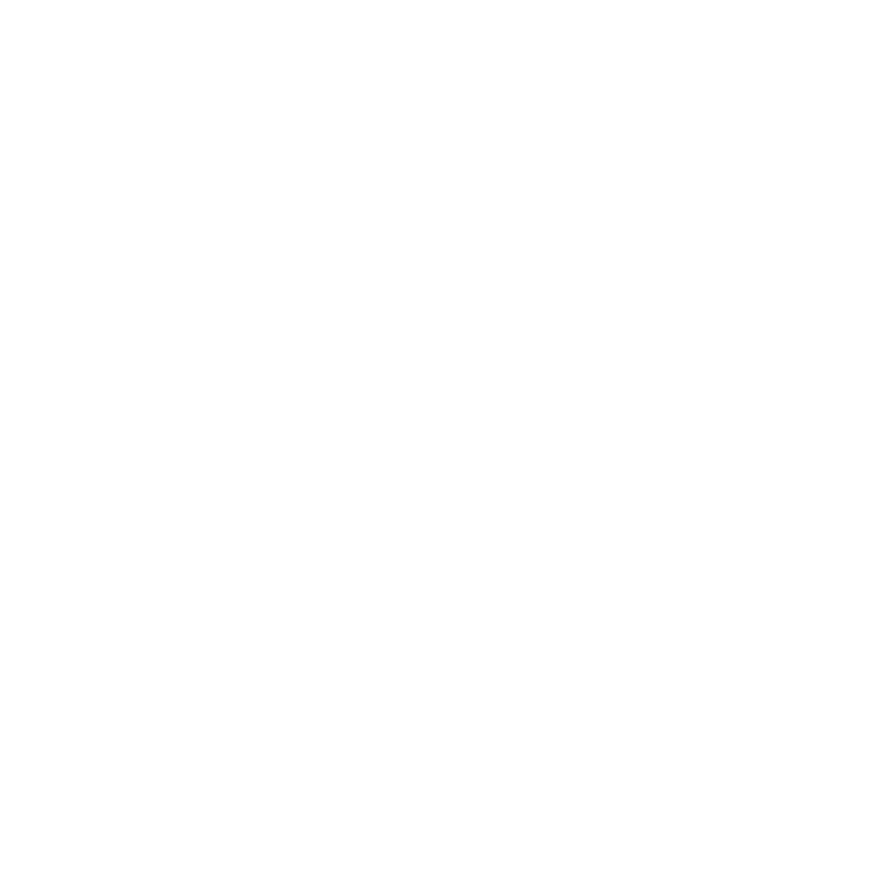 Funny T-Shirts design "Massachusetts Est. 1788 T-Shirt"