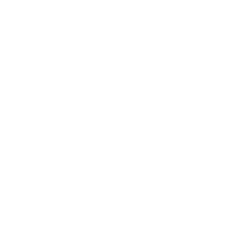 Funny T-Shirts design "New York City Est. 1624 T-Shirt"