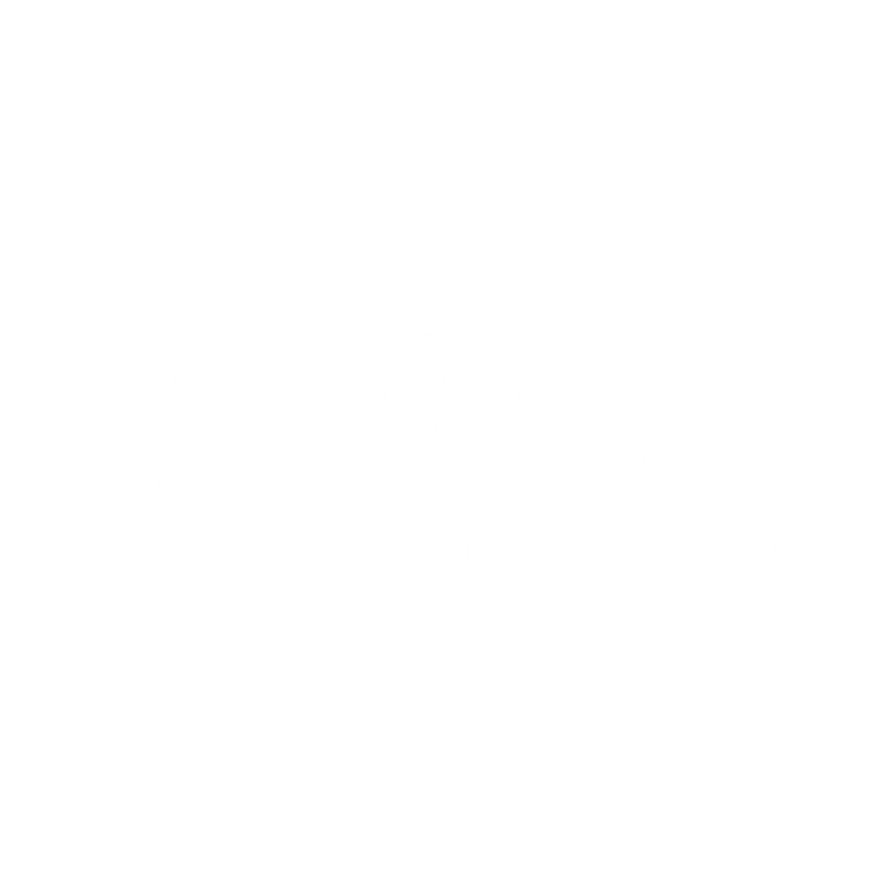 Funny T-Shirts design "Michigan Est. 1837 T-Shirt"