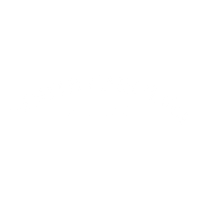 South Carolina Est. 1788 T-Shirt
