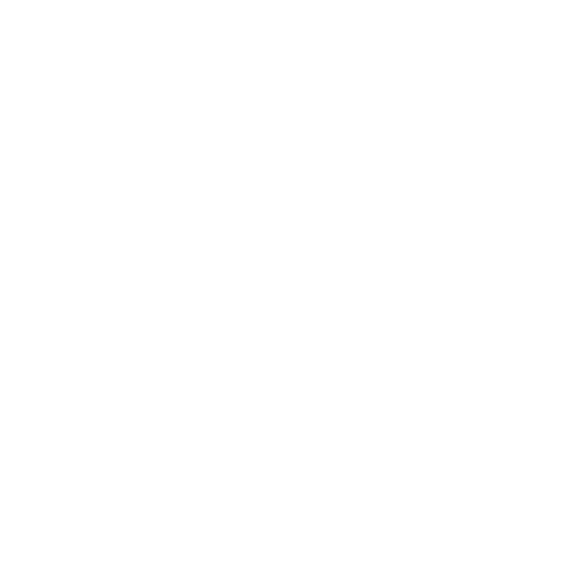 Hawaii Est. 1959 T-Shirt