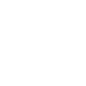 Funny T-Shirts design "I Direct Midget Porn"