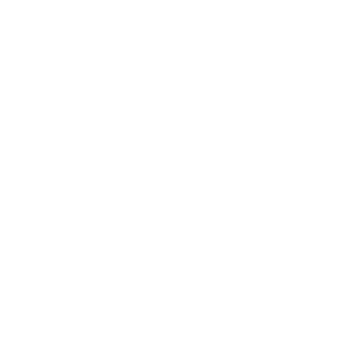 Marriage: One Special Person For The Rest Of Your Life - Roadkill T-Shirts
