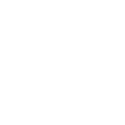 Let's Handle This Like Adults - Roadkill T-Shirts