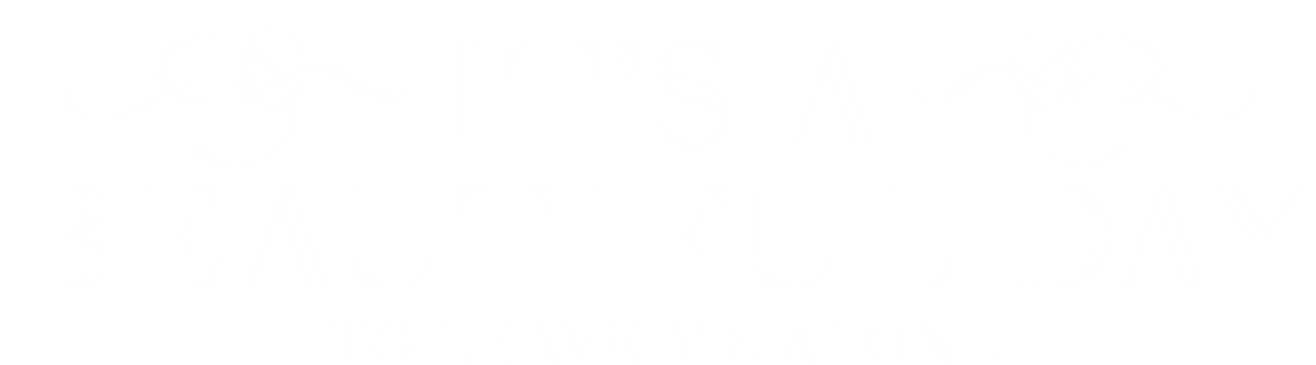 It's a Beautiful Day to Leave Me Alone - Roadkill T-Shirts