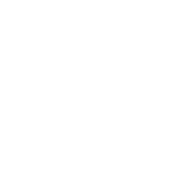 I'm Not Rude. I Just Say What Every One Else Is Thinking