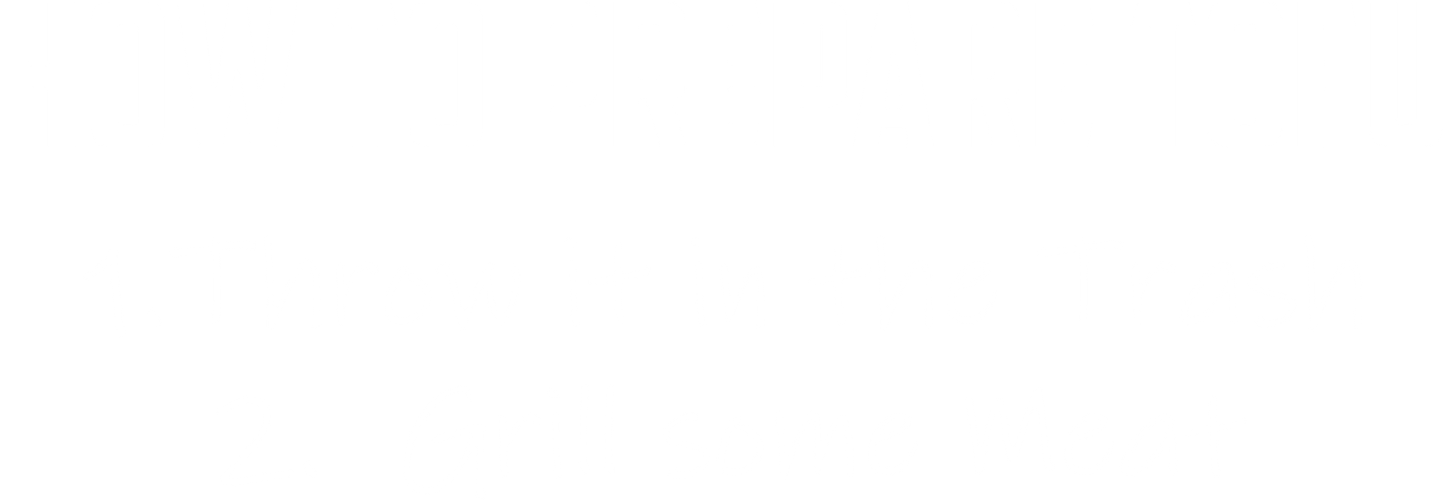 Funny T-Shirts design "How to Prepare Tofu, Throw it in the Trash Funny Tee"