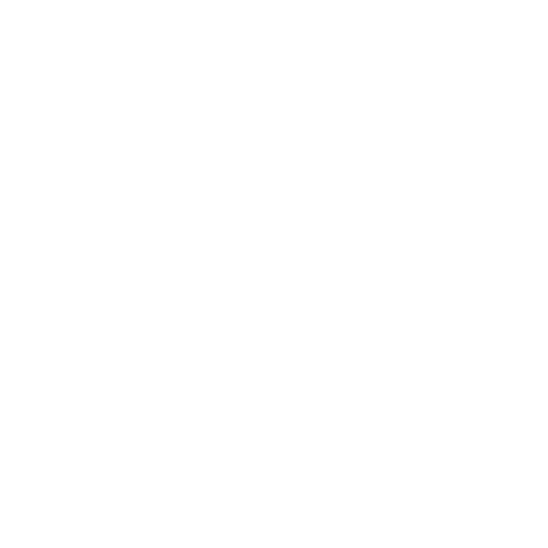 Funny T-Shirts design "I Rule"