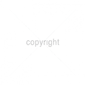 Funny T-Shirts design "SHENANIGANS"