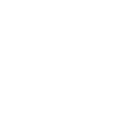 Funny T-Shirts design "USA T-Shirt"