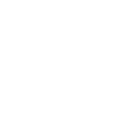 Funny T-Shirts design "Bigfoot - Hide And Seek Champion"