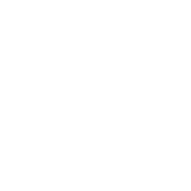 Funny T-Shirts design "It's Not Drinking Alone If Your Cat Is With You T-Shirt"