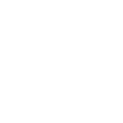 Funny T-Shirts design "Not My President"