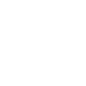 Funny T-Shirts design "I Tolerate You"