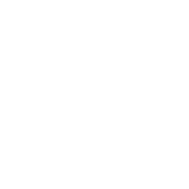 Kiss Me I'm Irish...Ish - Roadkill T-Shirts
