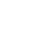 Funny T-Shirts design "World's Tallest Leprechaun T-Shirt"