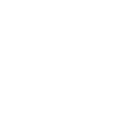 Drunky McDrunkenson - Roadkill T-Shirts