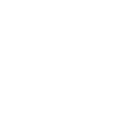 Funny T-Shirts design "The Tree Isn't The Only Thing Getting Lit This Year T-Shirt"