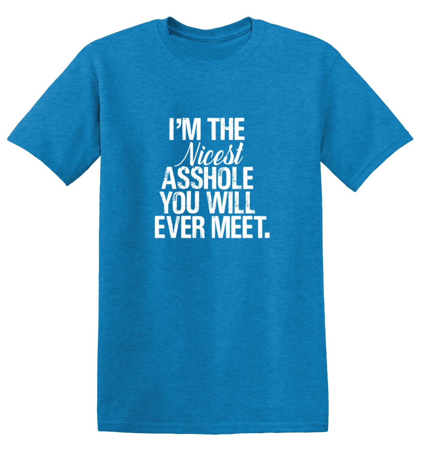 Funny T-Shirts design "I'm the Nicest Asshole, You will ever Meet Shirt"
