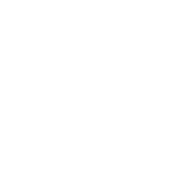 Funny T-Shirts design "I Hate Cats Said No One Ever T-Shirt"