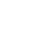 Ho Ho Holy Sh*t I'm Drunk - Roadkill T-Shirts
