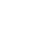 Funny T-Shirts design "Best Dog Mom Ever T-Shirt"
