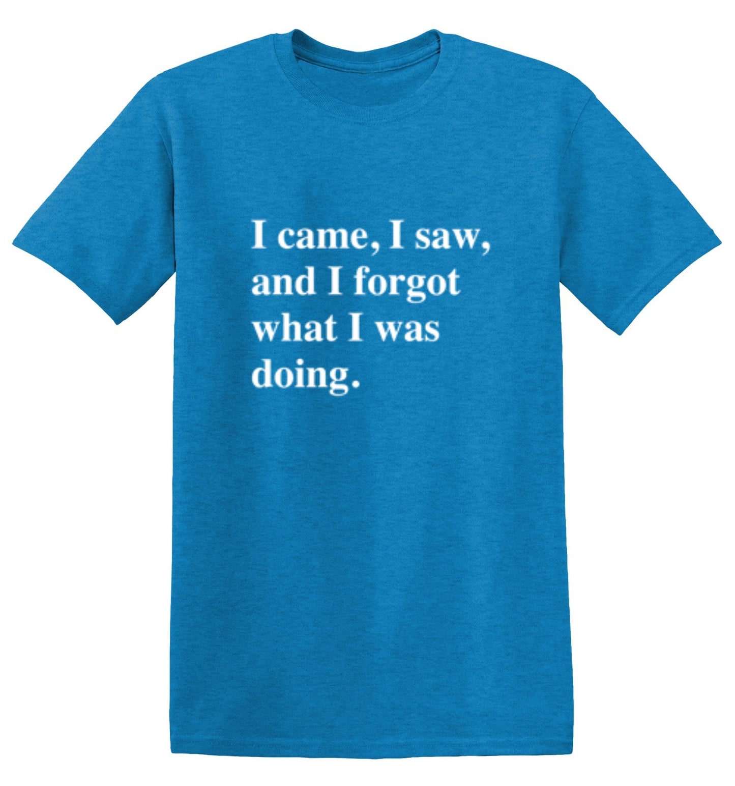 Funny T-Shirts design "I Came, I Saw, I Forgot What I Was Doing"