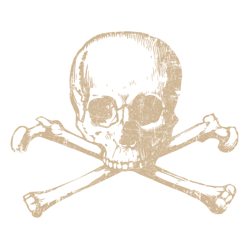 Funny T-Shirts design "Human Skull Shirt"