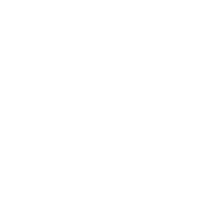Funny T-Shirts design "Skull Dripping Mens T Shirt"