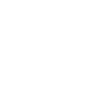 Funny T-Shirts design "Dogs Make Me Happy. You, Not So Much"