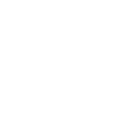 Senior Discount Please - Roadkill T-Shirts