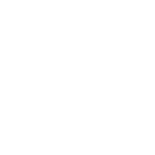 Parenting Style: Survivalist - Roadkill T-Shirts