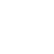 Hold My Drink I've Gotta Pet This Dog T-Shirt