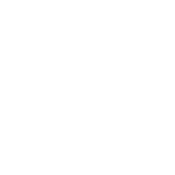 Funny T-Shirts design "My Therapist Has Paws"