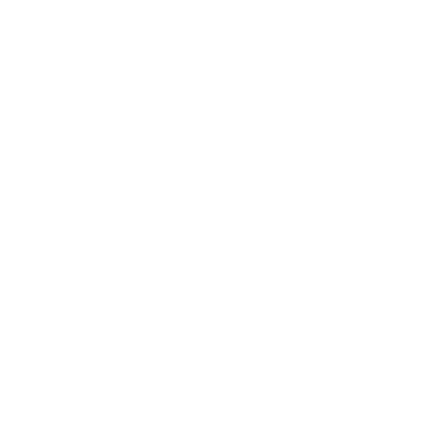 Funny T-Shirts design "The Future is Inclusive T-Shirt"