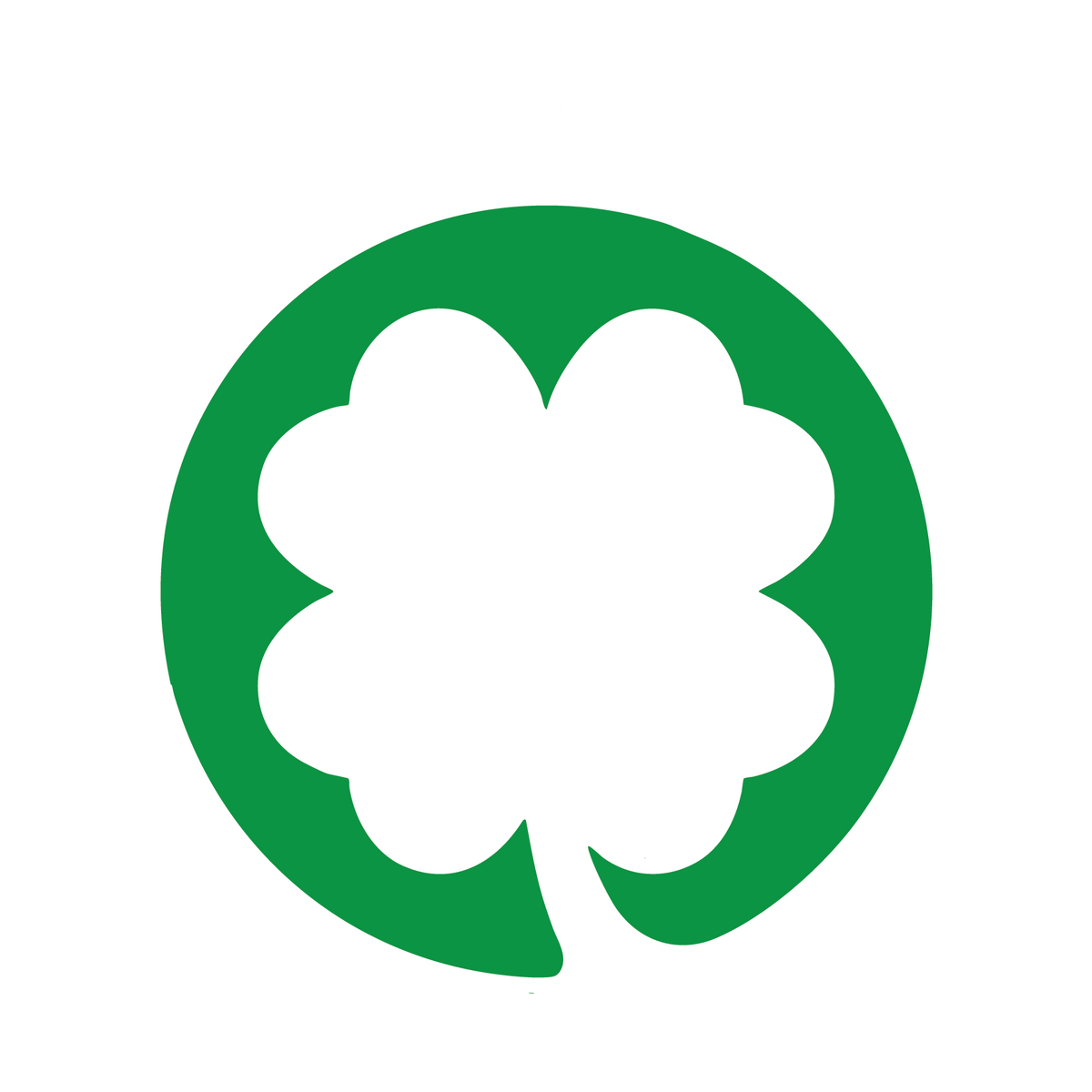 Funny T-Shirts design "You Need Some Irish In You T Shirt"