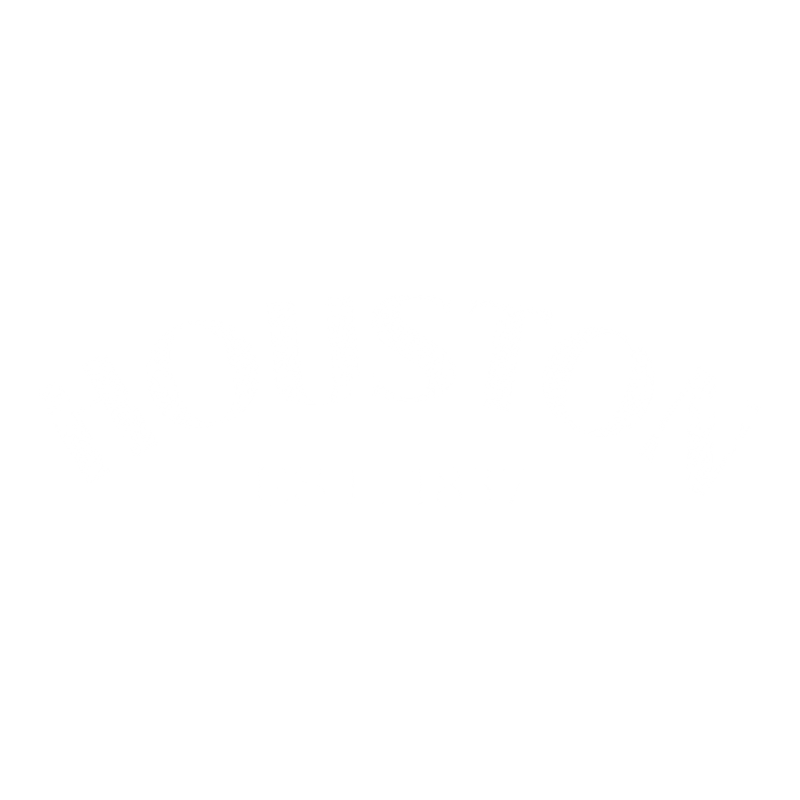 Houston Est. 1837 T-Shirt