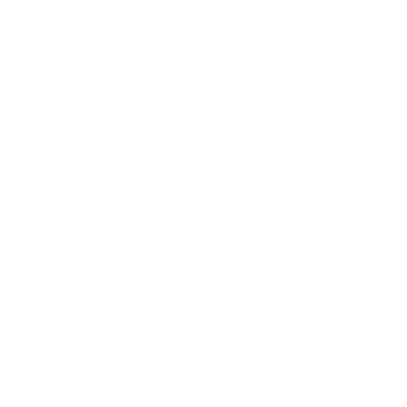 Austin Est. 1839 T-Shirt