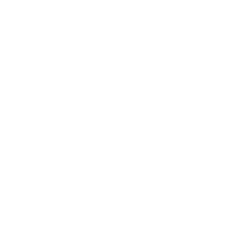 Funny T-Shirts design "Wyoming Est. 1890 T-Shirt"