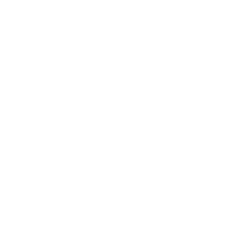 Funny T-Shirts design "Minnesota Est. 1858 T-Shirt"