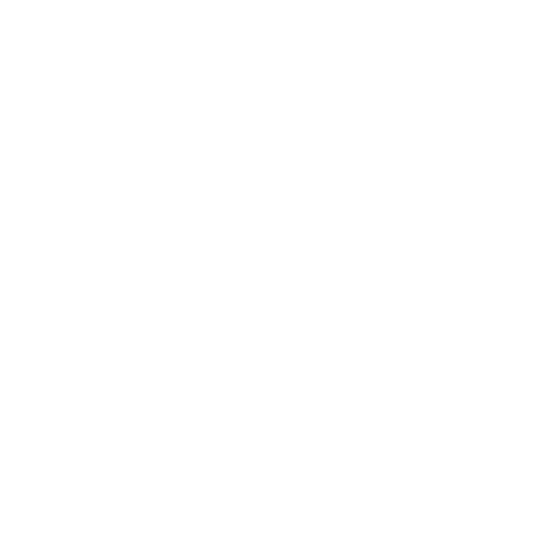 Funny T-Shirts design "Missouri Est. 1821 T-Shirt"