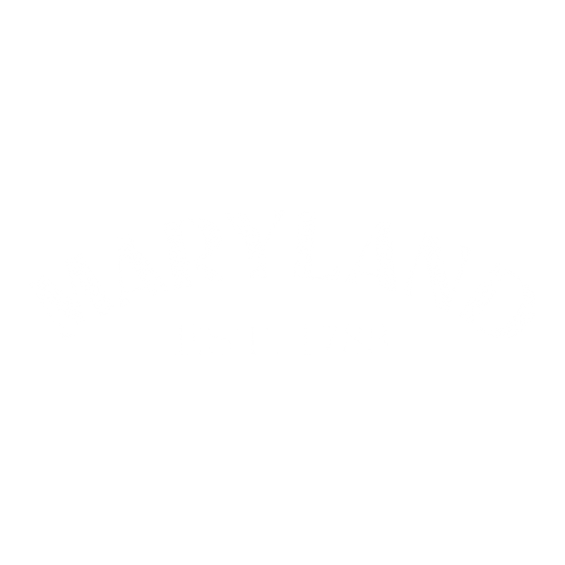 Funny T-Shirts design "Maryland Est. 1788 T-Shirt"