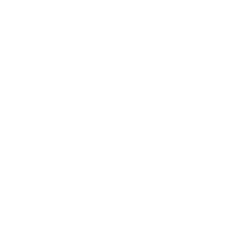Funny T-Shirts design "Delaware Est. 1787 T-Shirt"