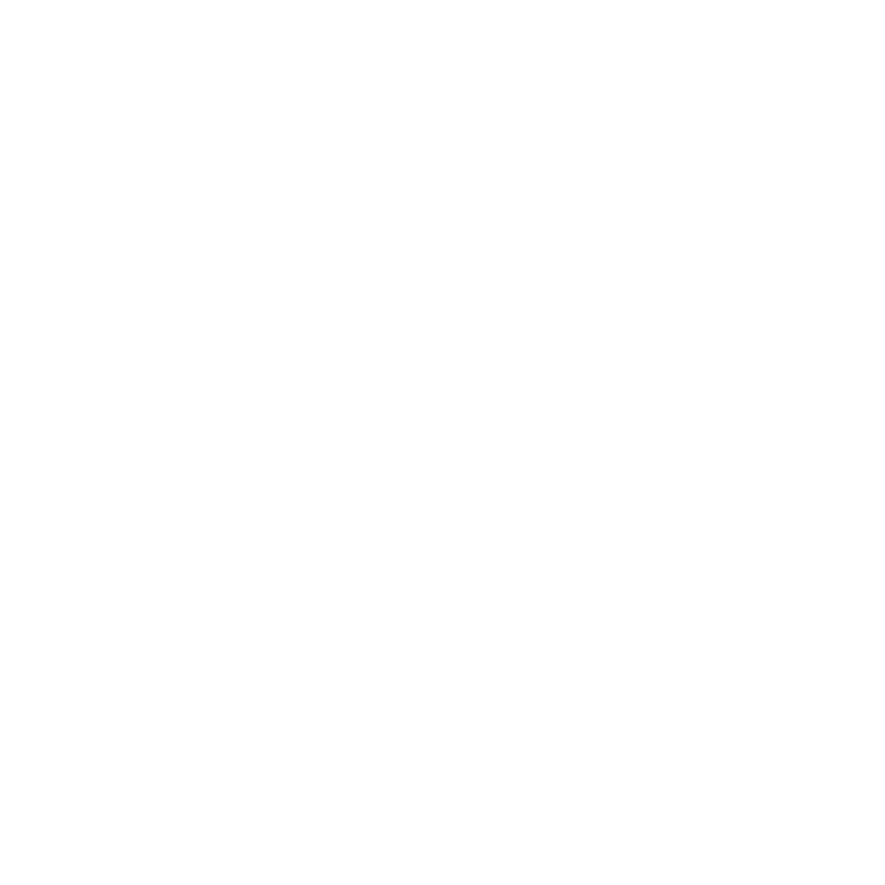 Funny T-Shirts design "Kentucky Est. 1792 T-Shirt"