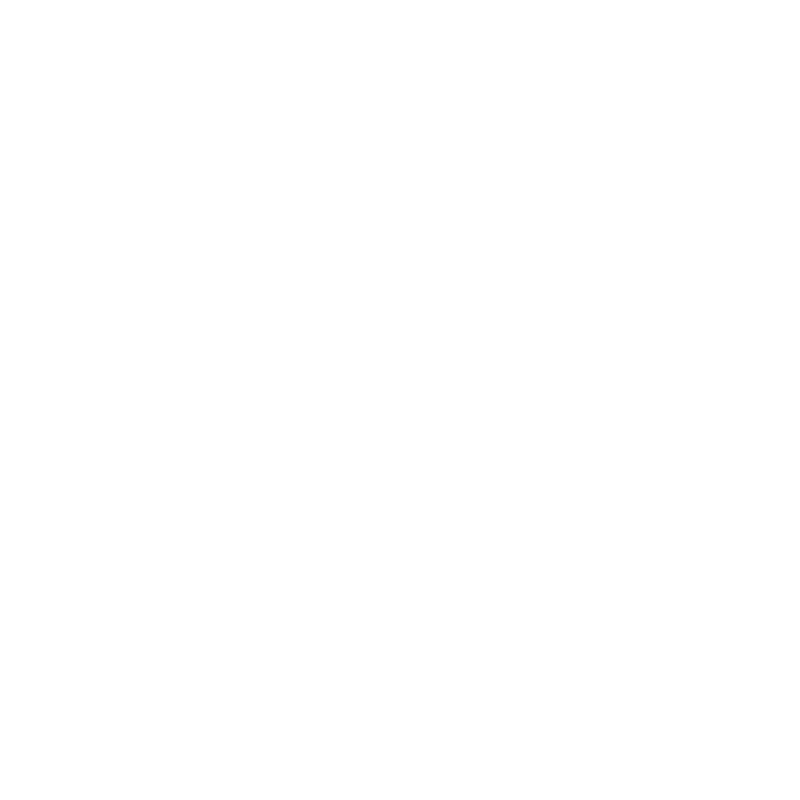 Wisconsin Est. 1848 T-Shirt