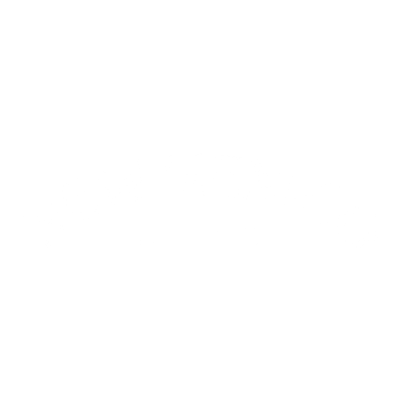 Funny T-Shirts design "New Mexico Est. 1917 T-Shirt"