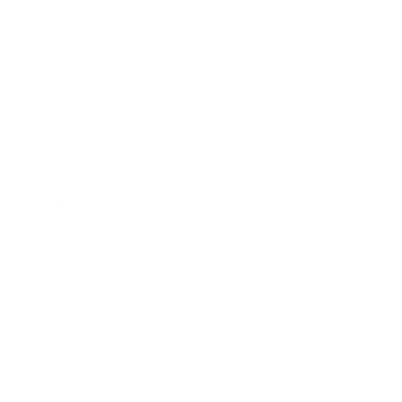 Iowa Est. 1846 T-Shirt