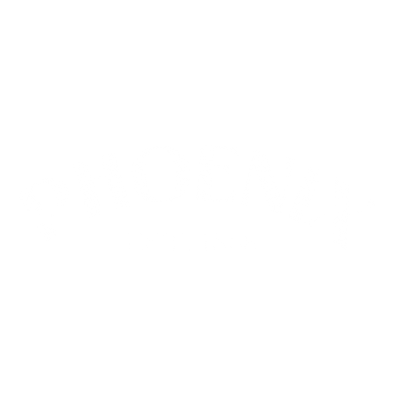Phoenix Est. 1868 T-Shirt