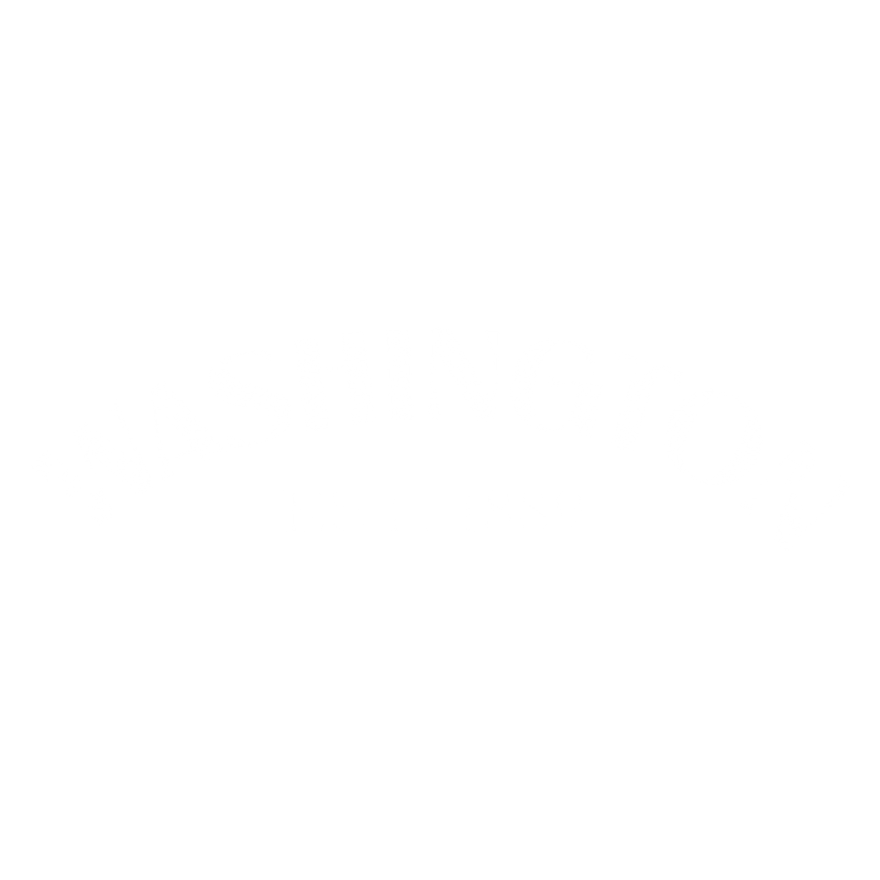 Washington Est. 1889 T-Shirt